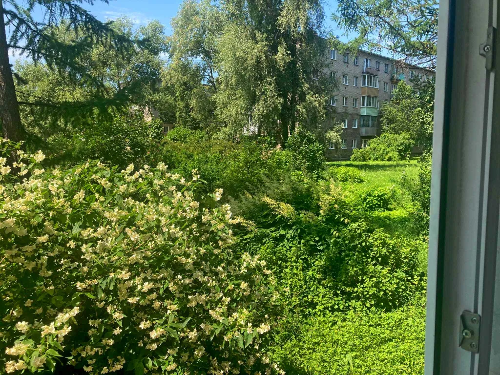 Квартира для отдыха и оздоровления в центре рядом с санаторием Полисть