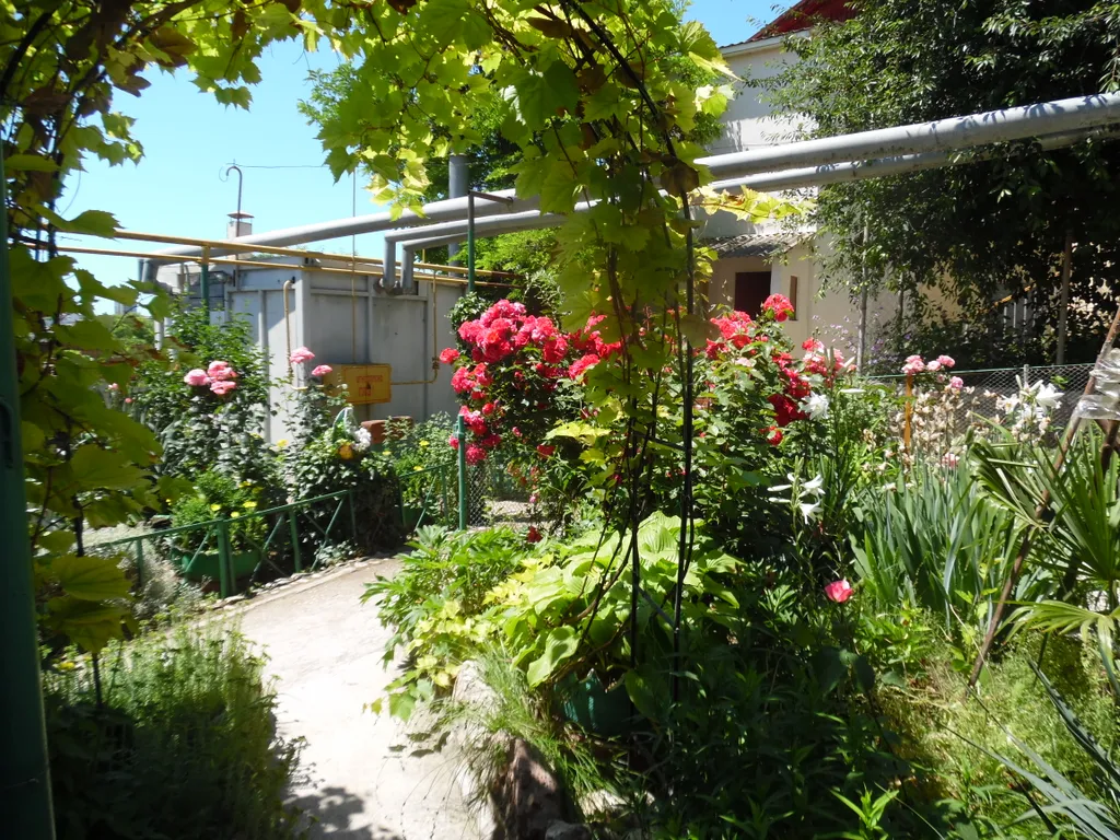 Комната у моря