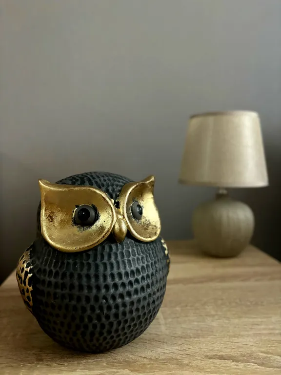 Уютная двухкомнатная квартира Sowa Apart в историческом центре города