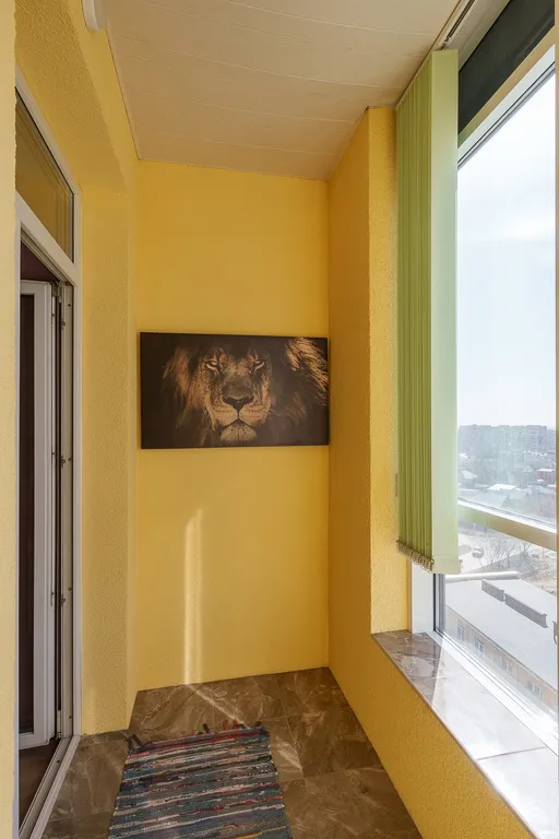 Зоопарк за окном