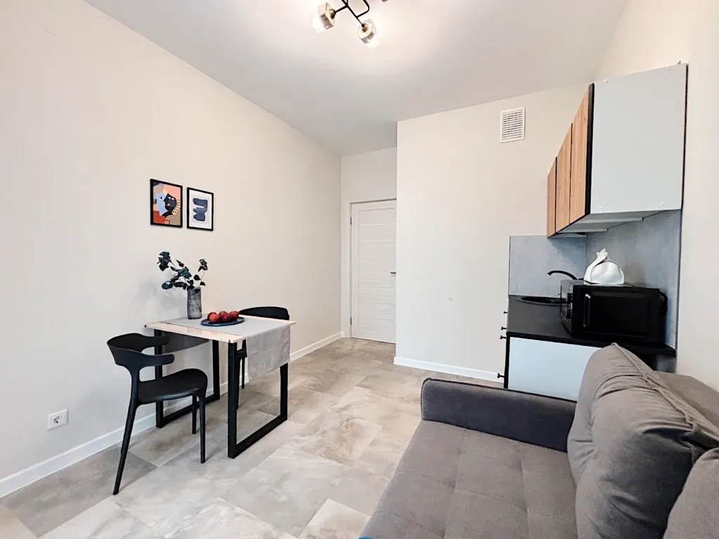 Уютные однокомнатные апартаменты