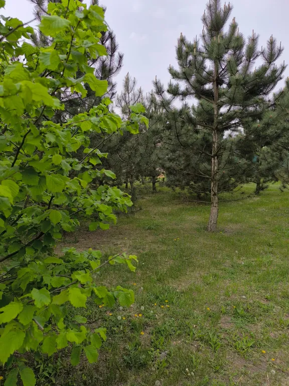 Дача на реке