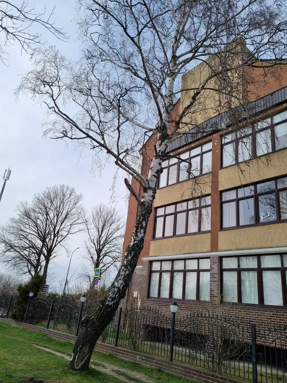 Уютная квартира на берегу моря