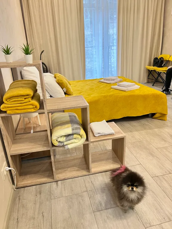 Квартира Квартира Новый апартамент в самом сердце Светлогорска — Светлогорск