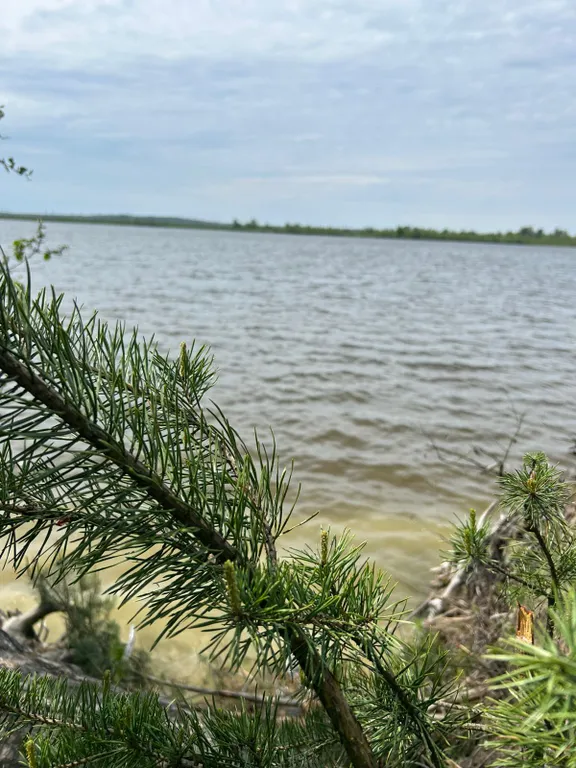 Уютный барнхаус по приятной цене недалеко от города