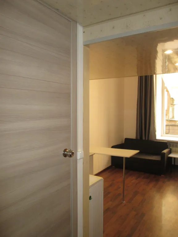 Квартира Двухуровневая квартира студия в историческом центре Петербурга — Санкт-Петербург