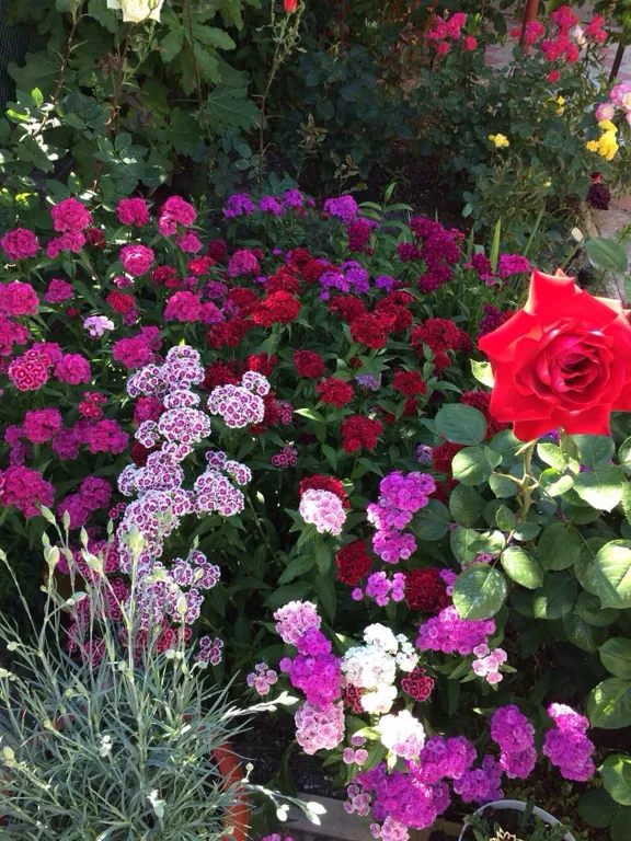 Коттедж 1-комнатный Дом — Ейск