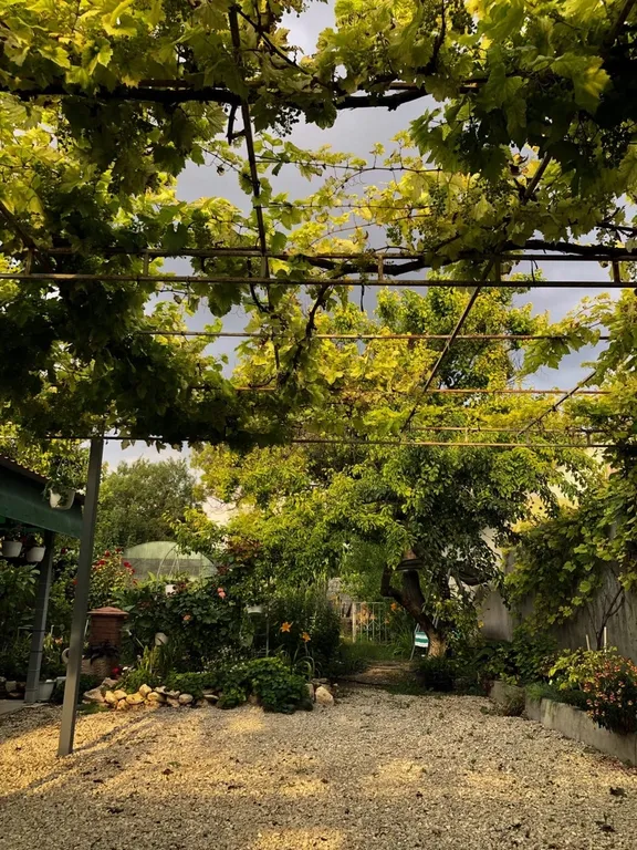 Цветочный дворик