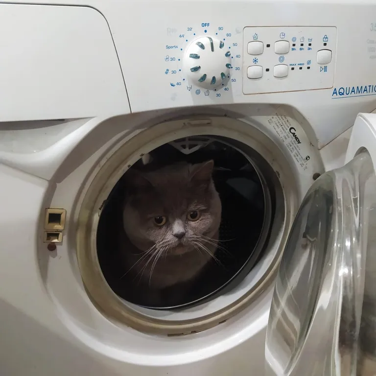 Квартира в районе Аквапарка