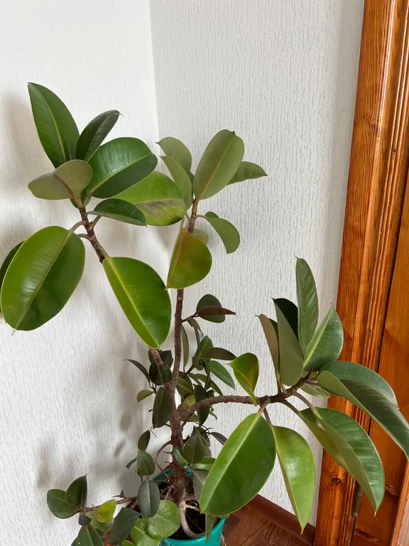 Квартира с видом на море