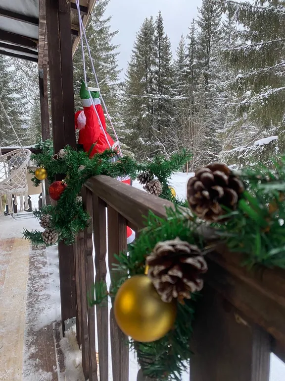 Альпийское Шале Франция Калинин Двор Гора Белая