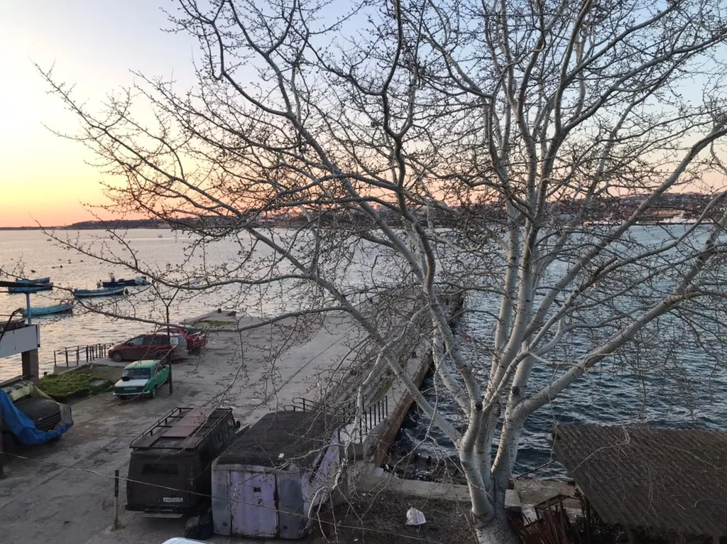 Квартира Квартира Студия со всеми удобствами возле моря — Севастополь