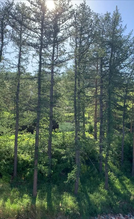 Прекрасная квартира