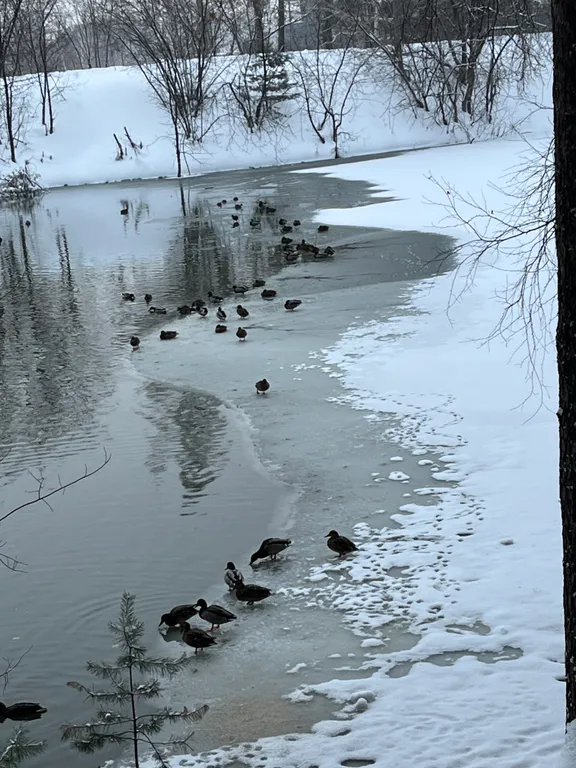 Комната Богдашка,25 медсанчасть  ЛДС Сибирь,Нептун,СГУПС,Термы Космос