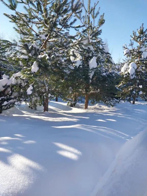 Уютный дом на 1 линии о. Cелигер