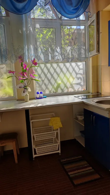 Зеленая 1-комнатный домик