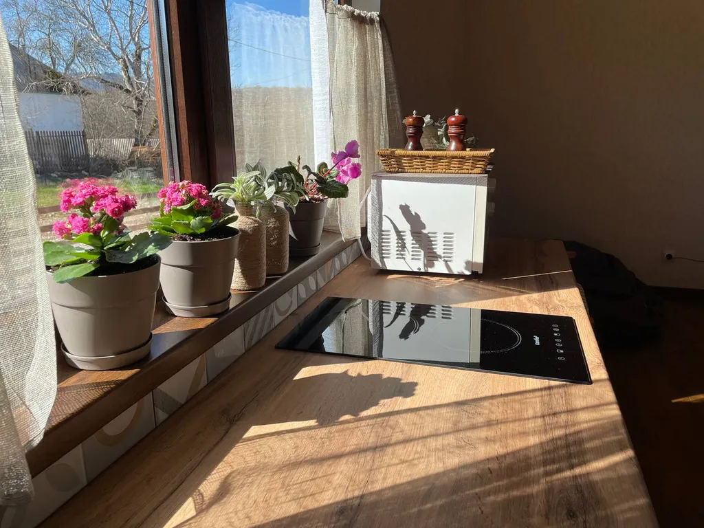 Апартамент Заповедный лес-2