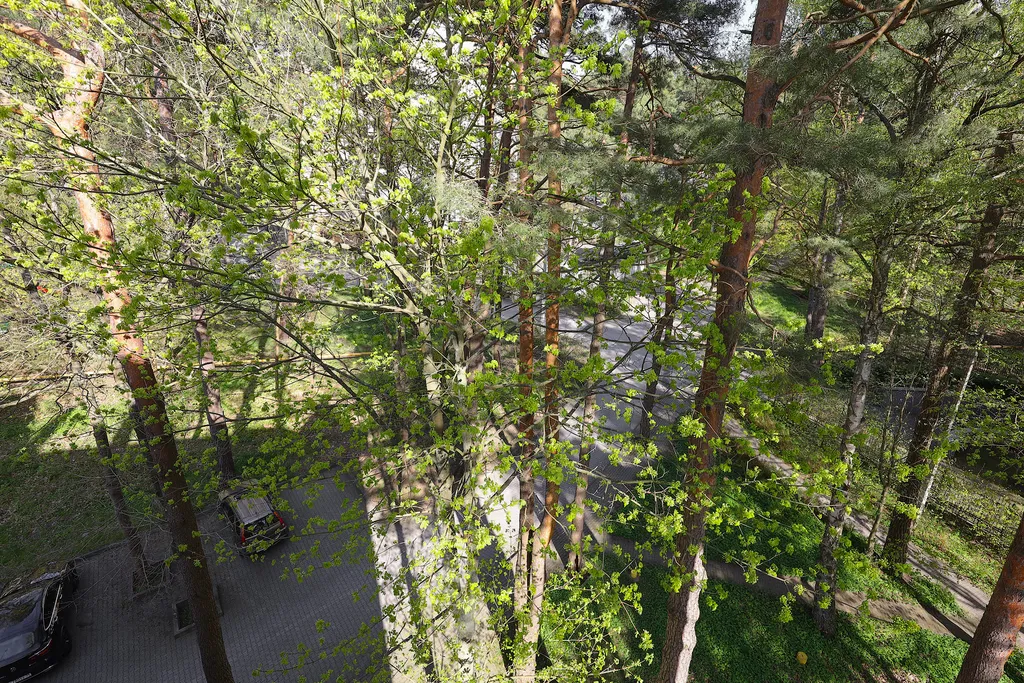 Апартаменты в 2 уровня в Центре Светлогорска