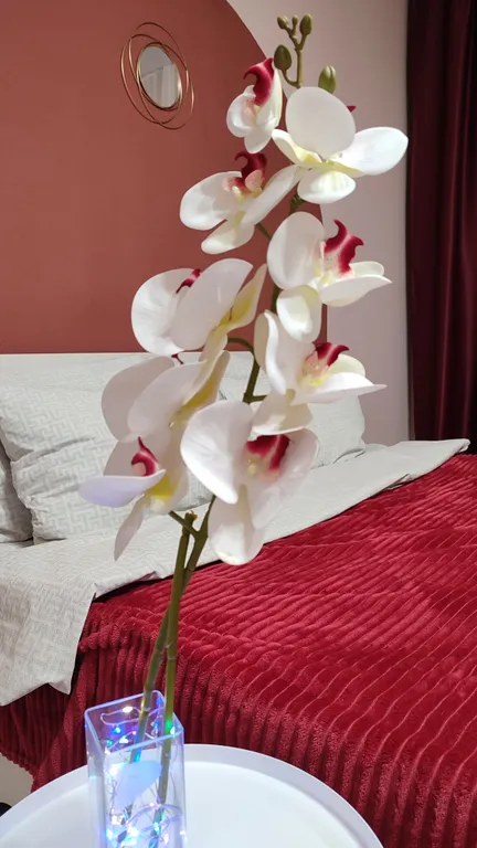 Уютная квартира около футбольного манежа