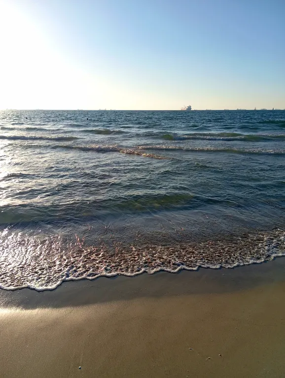 Потрясающие 2-комнатные апартаменты на берегу моря