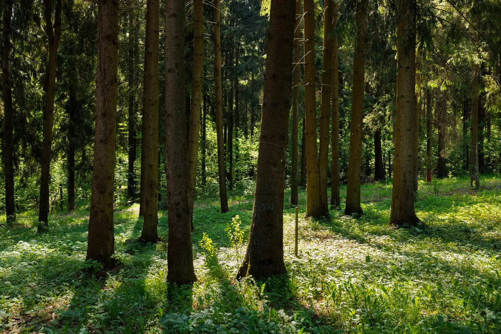 Уютный и атмосферный загородный дом Беликово Клаб Хаус