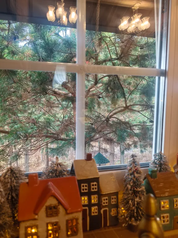 Гостевой фотодом Зазеркалье