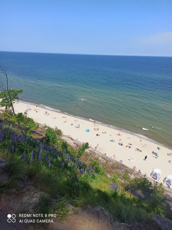 Квартира 1-комнатная Квартира — Светлогорск