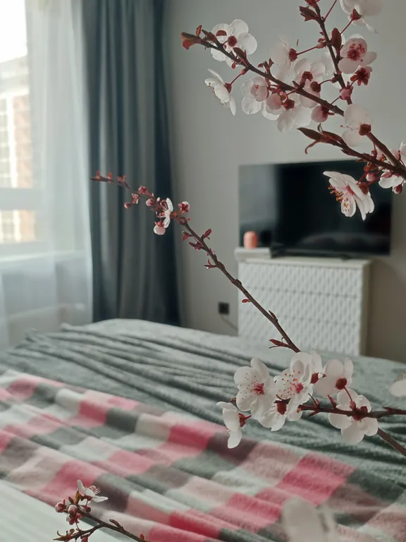 Квартира Квартира Шикарная студия в ЖК Самолёт — Краснодар