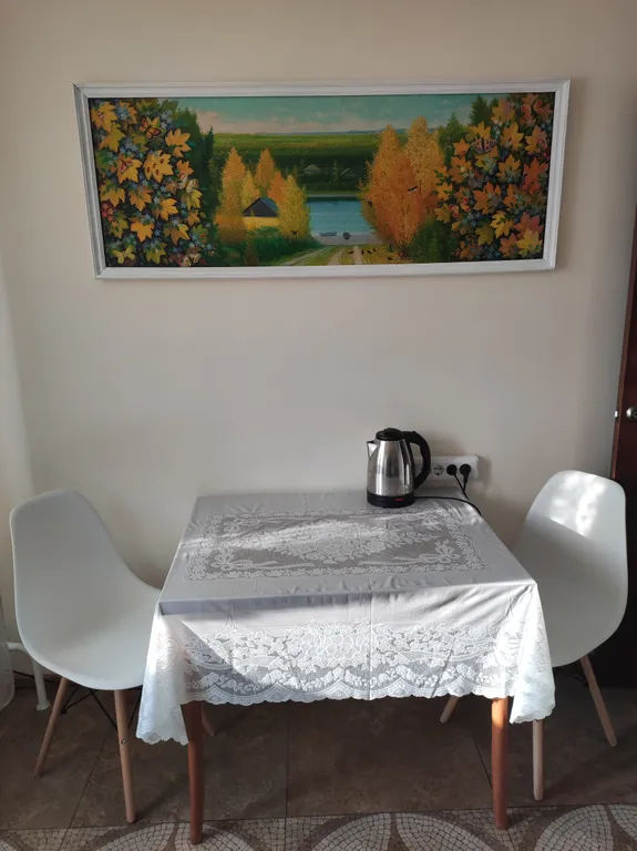 Уютная квартира возле аэропорта Внуково