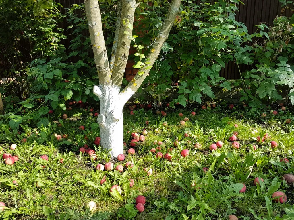 Уютный дом в 7 километрах от МКАД