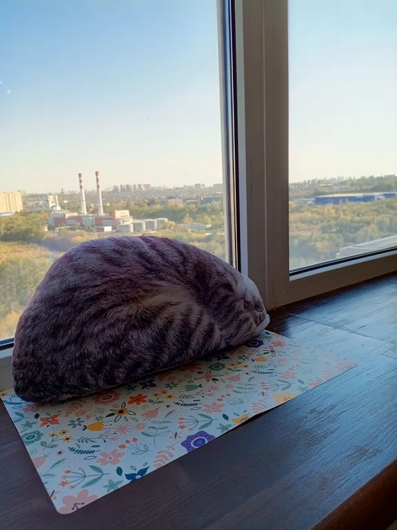 Уютная студия на 19 этаже