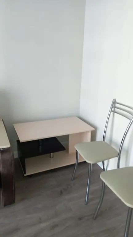 Уютная студия с видом на можжевёловый лес