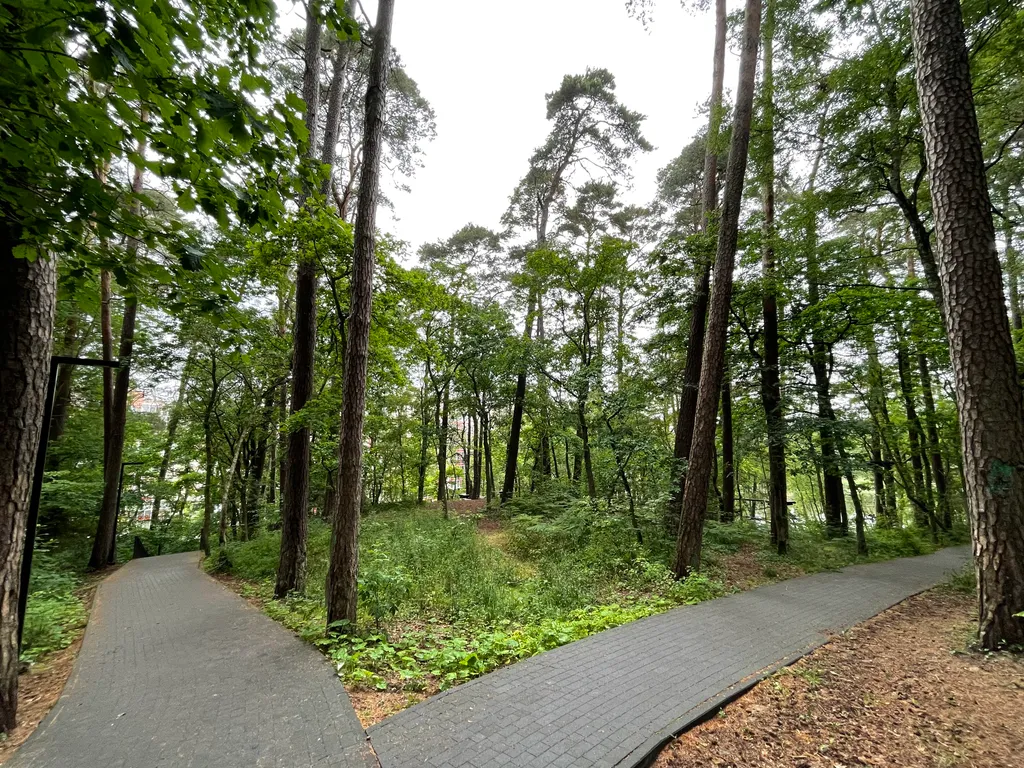 Уютная квартира с видом на озеро и сосновый лес