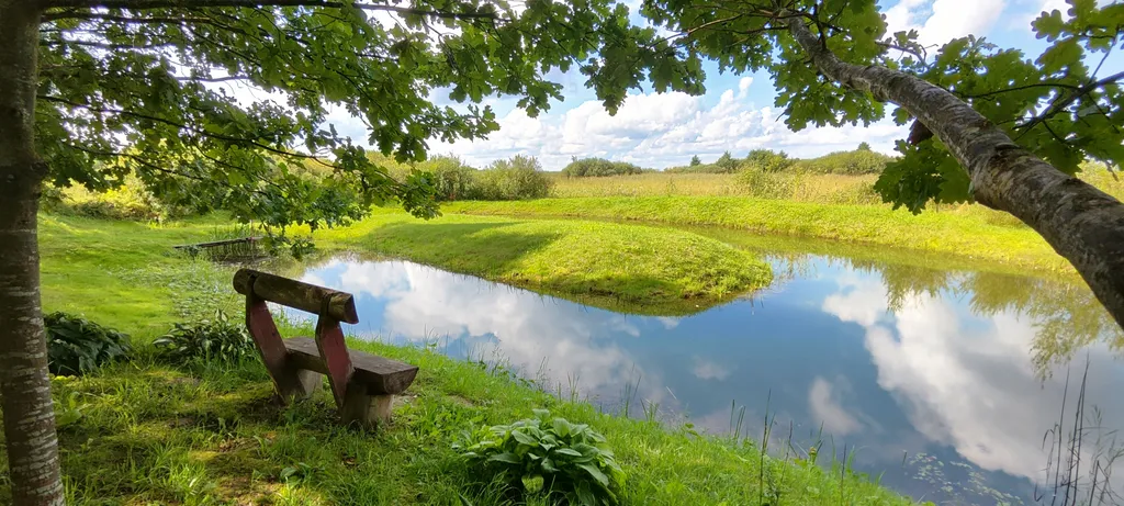 Уединенная дача с прудом и баней у Псковского озера
