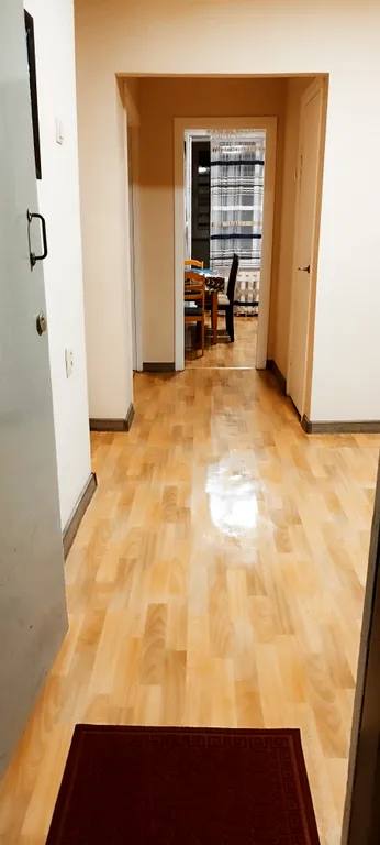 Уютная однокомнатная квартира