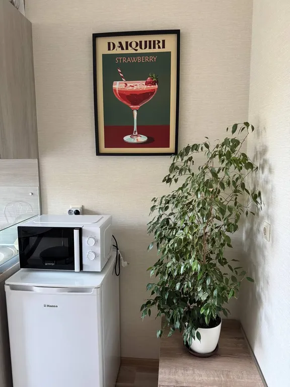 Квартира Апартаменты Дайкири — Светлогорск