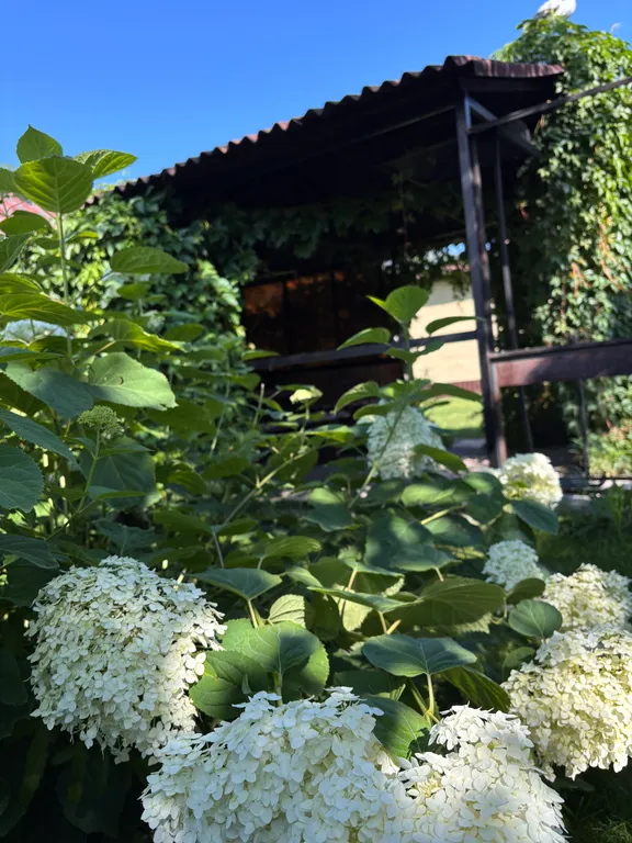 Гостевой дом в окружении гор