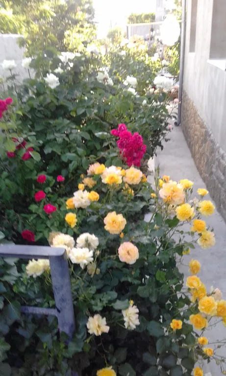 Номер полулюкс