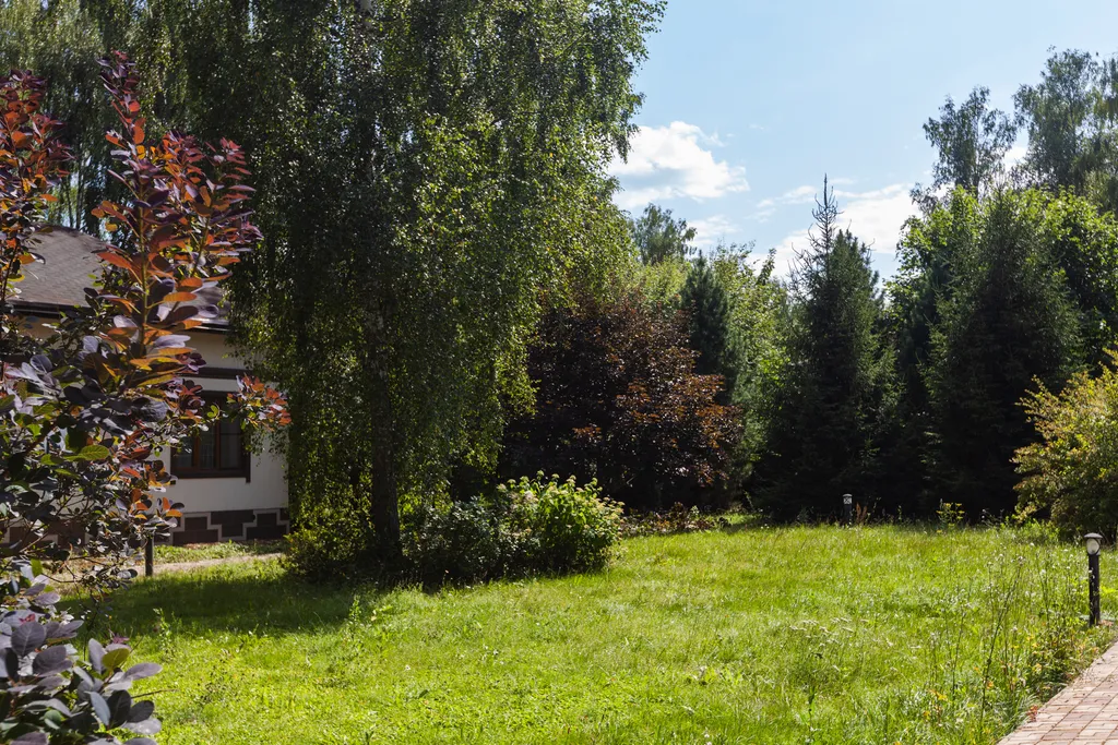 Загородный дом с бассейном, сауной и собственным лесом на участке