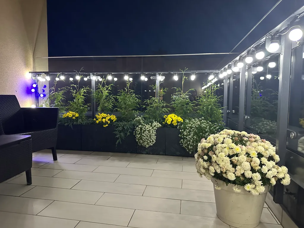 Квартира Уютная квартира с велосипедами  и большой террасой у Балтийского моря — Светлогорск