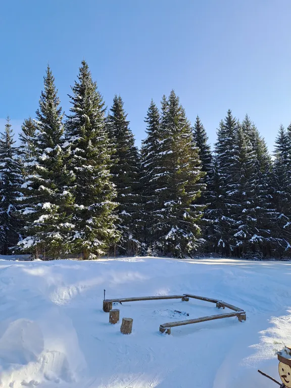 Дом на Опушке