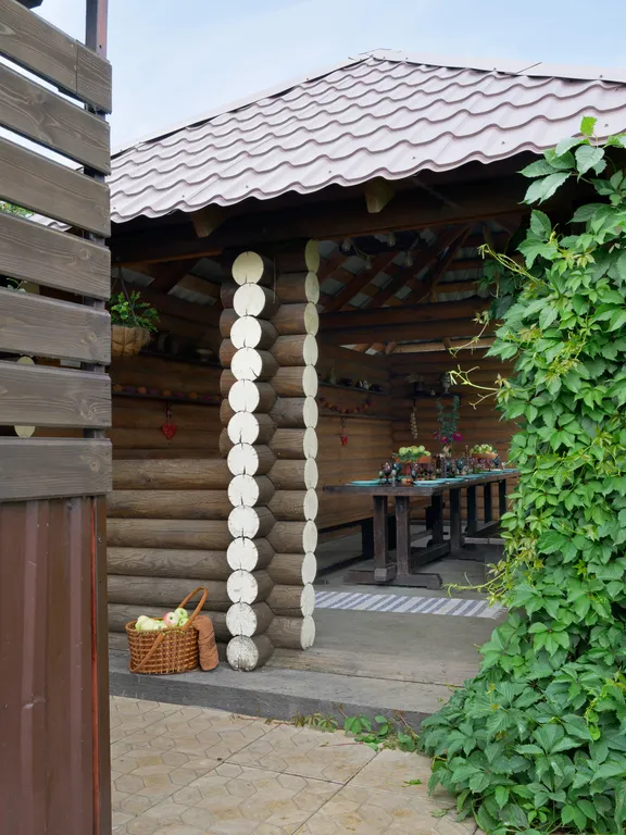 Гуси Лебеди