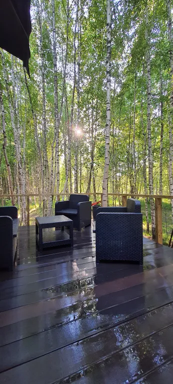 Коттедж Дом (A) с сауной и видом на лес — Пашуково