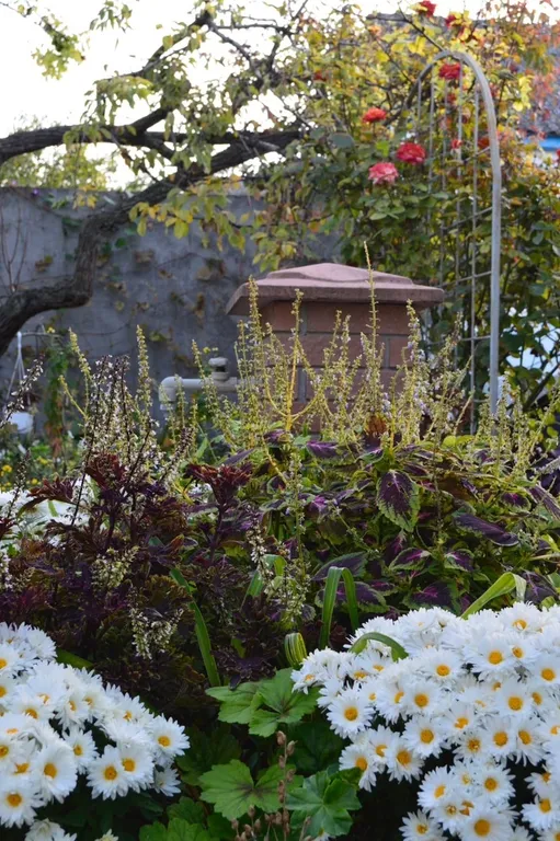 Цветочный дворик