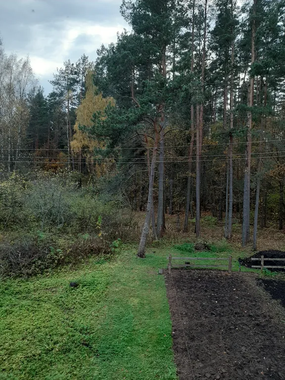 Квартирка у хвойного рая