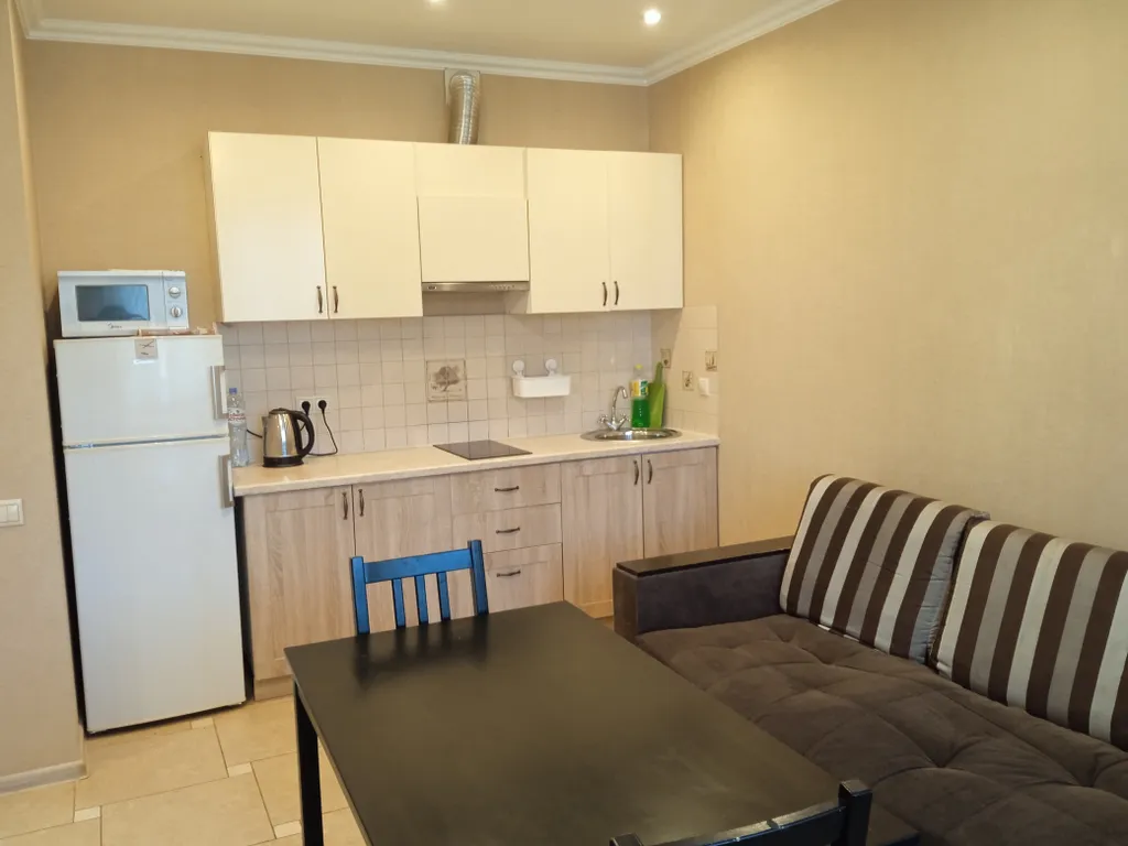 Евродвушка в центре около Волги