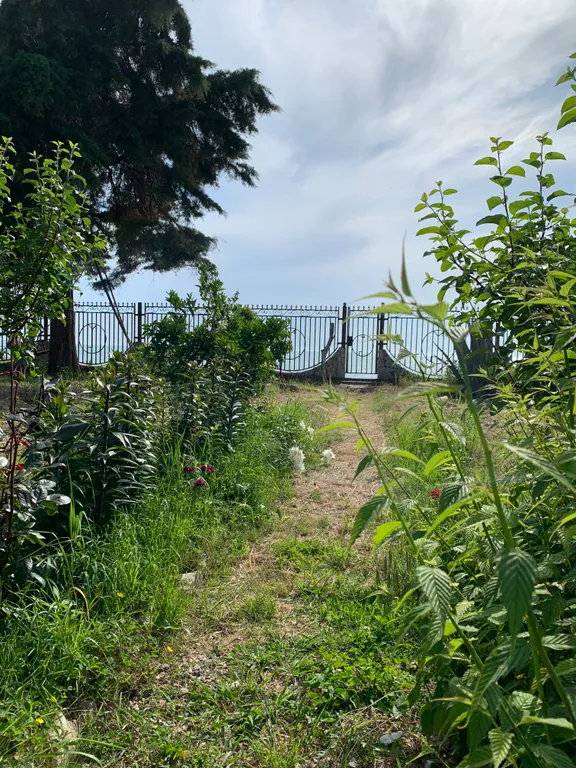 Апартаменты с видом и выходом на море