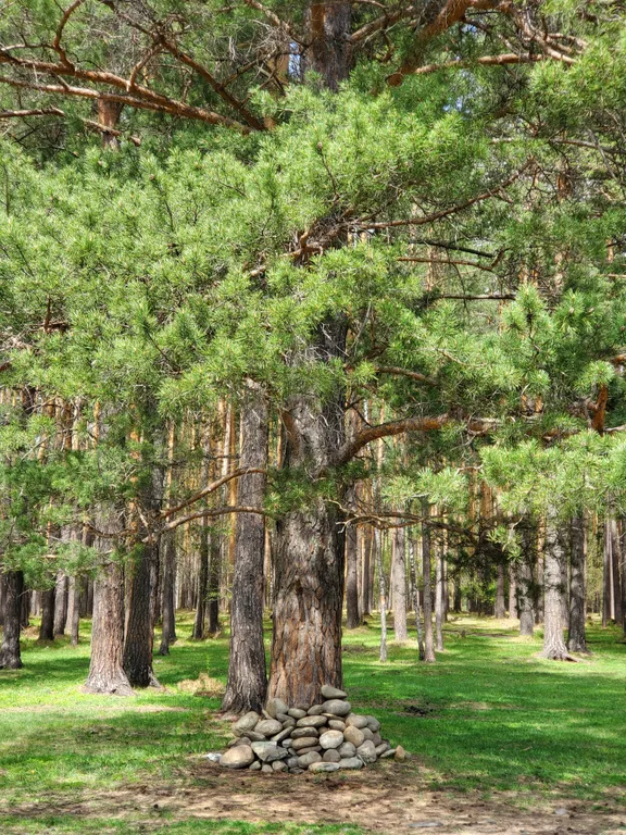 Коттедж Дом почти двухэтажный на опушке реликтового бора с видом на горы — Аскат