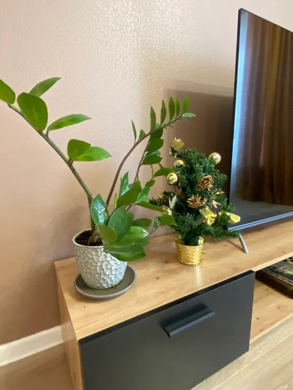 Уютная 1-комнатная квартира