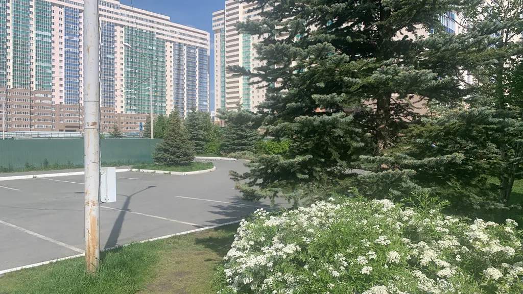 Квартира Квартира рядом с Микрохирургией глаза и Больничным городком — Екатеринбург